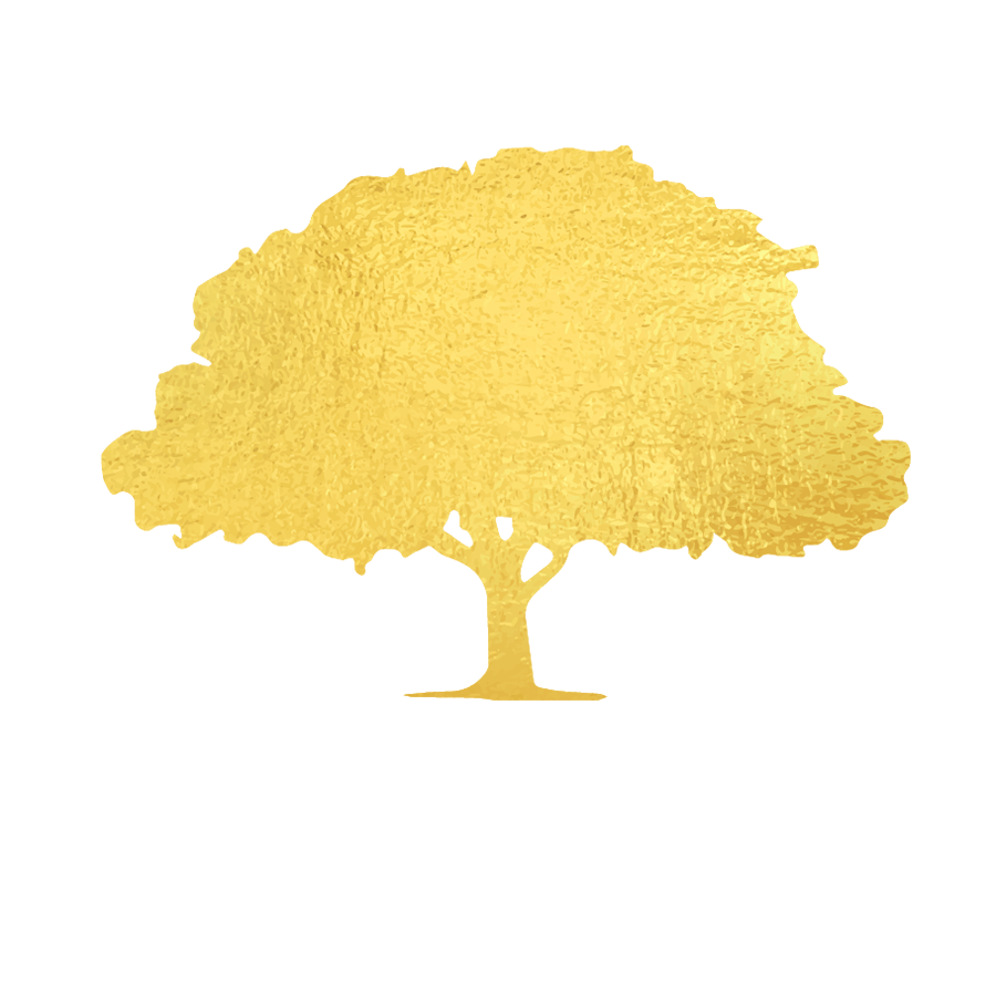 August Wealth Management